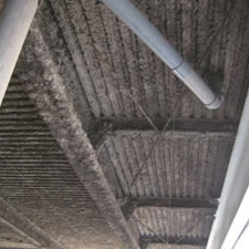 ���̒��ԏ�