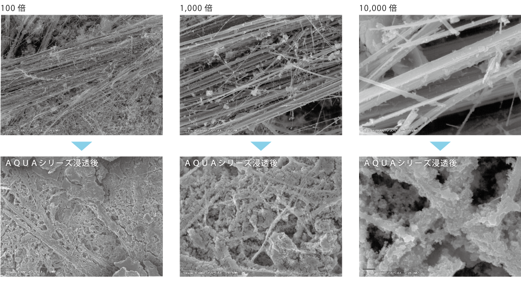 �������ʐ^